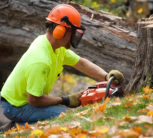 tree services Lester Prairie